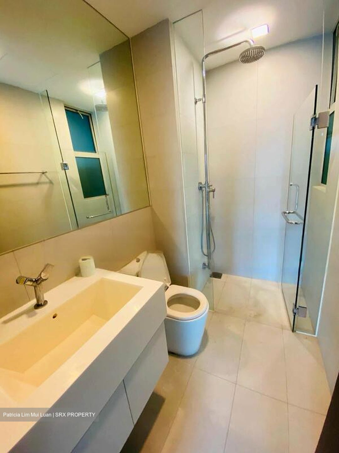 The Rochester Residences (D5), Apartment #454823901